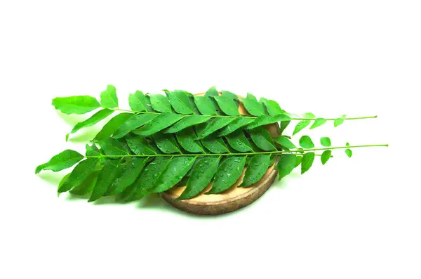 Hint ve Sri Lanka Kaloupil, köri ağacı, lakaplandırma Murraya koenigii (L.) Sprengel, dokuz tütsü familyasından (Rutaceae) bir ağaçtır.).