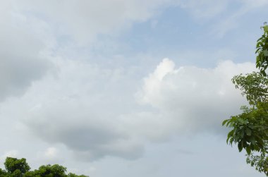 Ağaçların yaprakları arasında bulutlu bir gökyüzünün fotoğrafı..