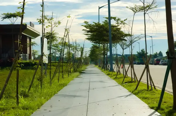 Mavi yaz gökyüzünde yoğun bulutların oluşturduğu bir arkaplan üzerine kurulmuş boş bir cadde. Güneşin altındaki bulutlu, parlak ve sakin yaz havası..