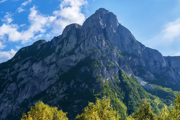 stock image Mountain landscape with green forest and blue sky with white clouds.