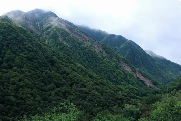 Berglandschaft Sommer Nahaufnahme Von Foto China — Stockfoto