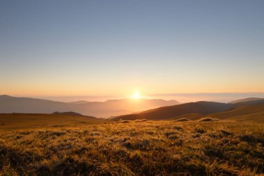Güneşin doğuşu sisli çayır. Doğa bileşimi.