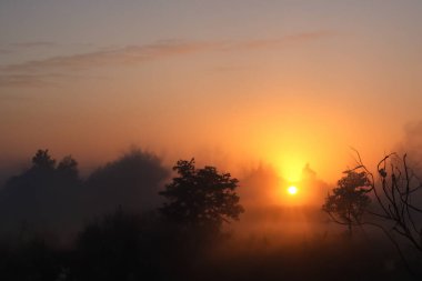 Gün batımında güneş ışınlarıyla dağlarda otlaklar.