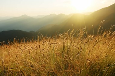 Gün batımında güneş ışınlarıyla dağlarda otlaklar.