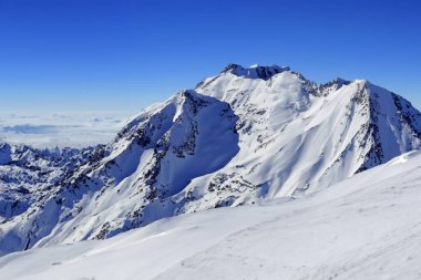 Okyanusta buzdağları ve buzdağlarıyla Antarktika manzarası