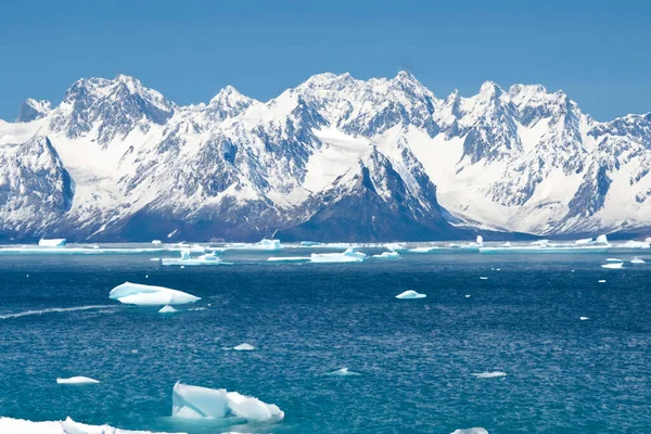 Okyanusta Buzdağları Buzdağlarıyla Antarktika Manzarası — Stok fotoğraf