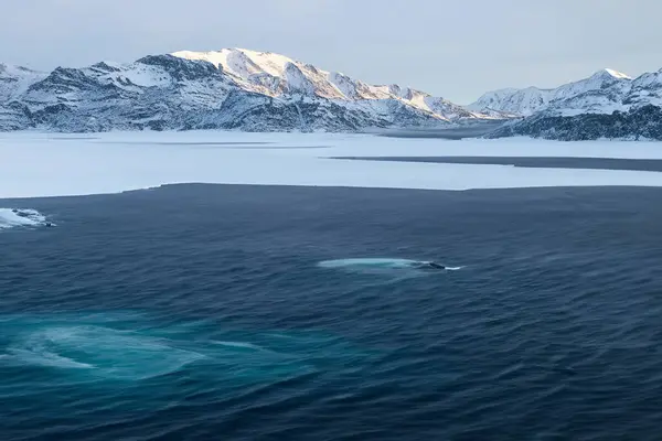 Ανταρκτική Τοπίο Παγόβουνα Στον Ωκεανό Και Βουνά Στο Βάθος — Φωτογραφία Αρχείου