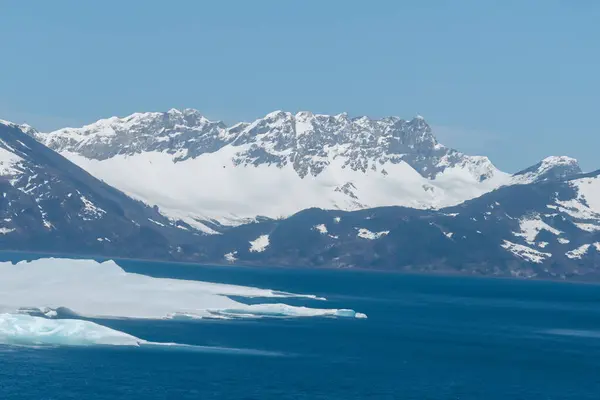 Antarctic landscape with icebergs and snow-capped mountains
