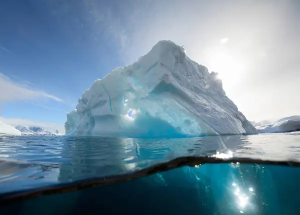 Antarctic landscape - icebergs and ice floes in the ocean