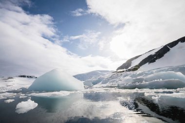 Jokulsarlon Buzul Gölü, İzlanda 'da buzdağları