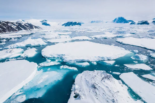 Jéghegyek Lebegnek Óceánban Egy Napos Napon Antarktiszon — Stock Fotó