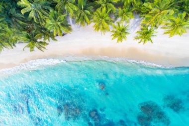 Seyahat ve tatil için hindistan cevizi palmiyesi ağaçları olan güzel tropikal sahil ve denizin havadan görünüşü