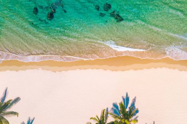 Seyahat ve tatil için hindistan cevizi palmiyesi ağaçları olan güzel tropikal sahil ve denizin havadan görünüşü