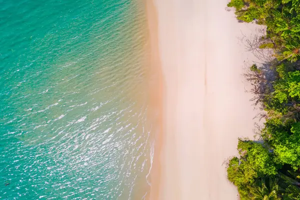 Letecký Pohled Krásnou Tropickou Pláž Moře Kokosovou Palmou Pro Cestování Stock Fotografie