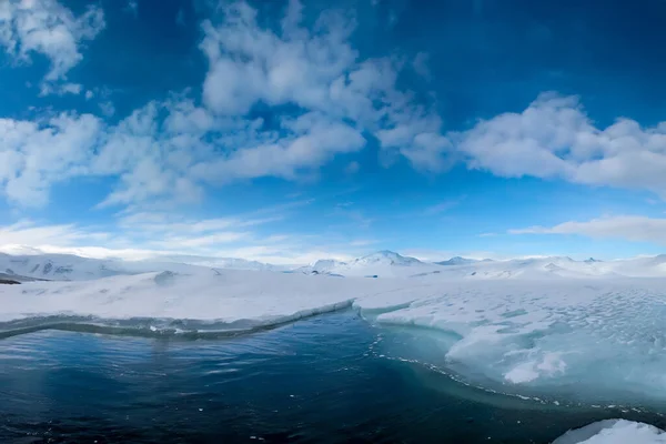 Casquetes Hielo Antártida Con Iceberg Océano Nadando Derritiéndose Mar Imagen De Stock