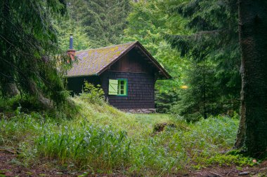 Sabahleyin ormanın derinliklerinde bir dağ kulübesi. Fotoğraf koyu yeşil renklerle dolu ve yalnız bir şafağın tazeliğini yayıyor.. 