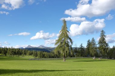 Bir yaz gününde dağ manzarası