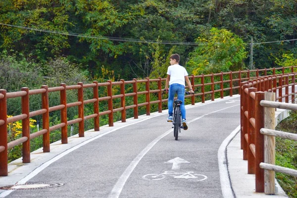 Молодий Чоловік Їде Велосипеді Парку — стокове фото