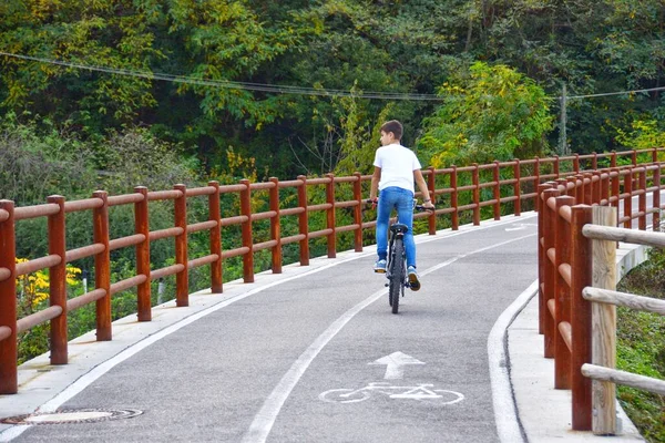 Joven Montar Bicicleta Parque — Foto de Stock