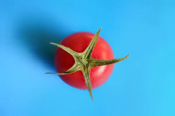 Fresh Red Tomato Blue Background — Stock Photo, Image