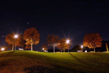 Şehir ışıklarıyla parkın güzel manzarası 