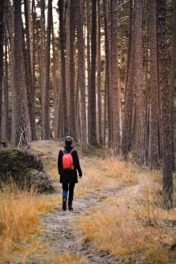 Siyah paltolu bir kadın ormanda yürüyor..