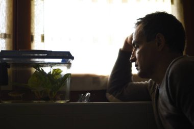 depresif adam pencerede oturuyor 