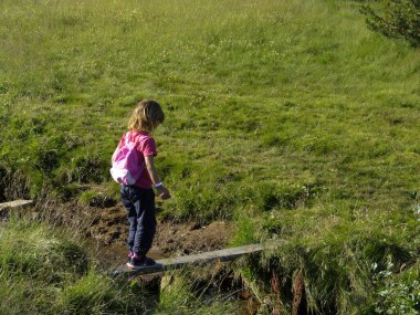 Doğada yürüyen küçük kız