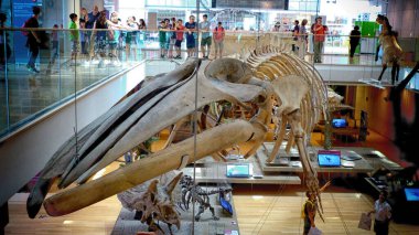 Bir müzenin içini görmek