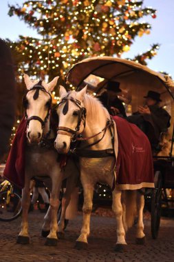 Güney Tyrol 'daki Noel pazarında atlar. 