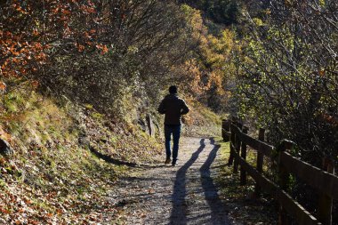 Sonbaharda siyah ceketli bir adam ormanda yürür.