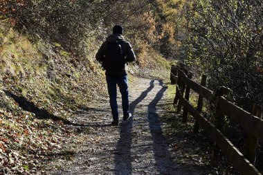 Sonbahar ormanda yürüyen adam