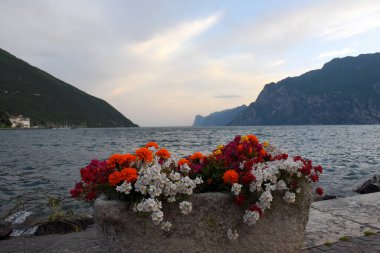 Renkli çiçeklerle İtalya 'daki Garda Gölü manzarası
