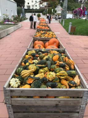 Çiftçi pazarında satılık taze organik ürünler.