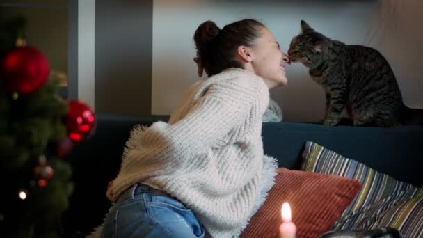 Touching Moment Pet Its Owner Cute Grey Cat Kisses Its — Stock Video