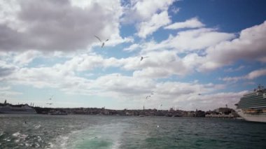 Bir martı sürüsü mavi gökyüzüne ve bulutlara karşı bir geminin arkasında uçuyor..