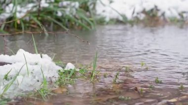 Küçük dereye düşen yay damlalarının yavaş çekim görüntüleri. Eriyen ıslak karla kaplı yeşil çimenler.