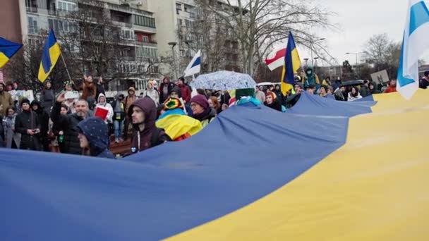 Novi Sad Serbia 2月2023 ウクライナへのロシアの侵略に対する団結行進 ノヴィ サドの通りに青と黄色の旗を持つ人々 — ストック動画