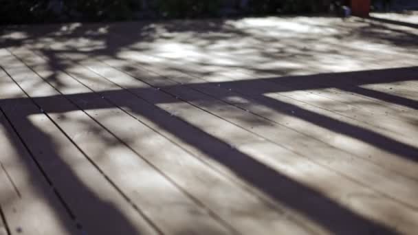 Imágenes Cinematográficas Abstractas Sombra Silueta Hojas Ramas Suelo Terraza Madera — Vídeos de Stock
