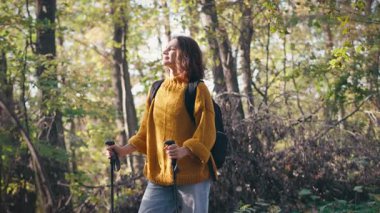 Genç bir kadın yürüyüşçü elinde sırıklarla sonbahar ormanlarında yürüyor.