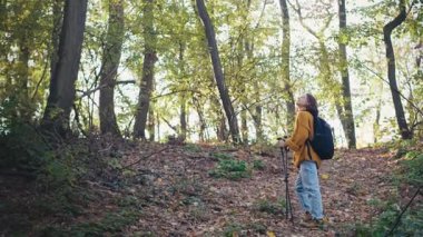 Genç bir kadın yürüyüşçü elinde sırıklarla sonbahar ormanlarında yürüyor.