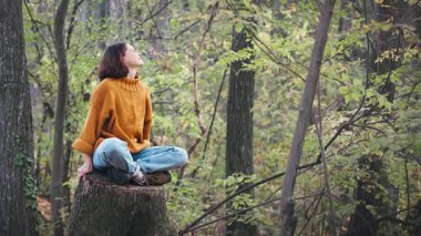 Genç bir kadın sonbahar ormanındaki büyük bir ağacın kütüğünde otururken temiz havanın tadını çıkarıyor.