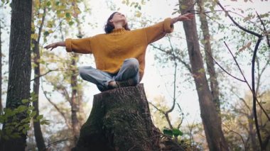 Genç bir kadın sonbahar ormanındaki büyük bir ağacın kütüğünde otururken temiz havanın tadını çıkarıyor.