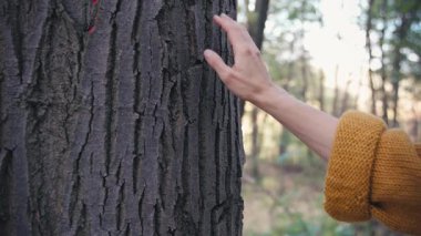 Bir kadının elinin yavaşça bir ağaç gövdesine dokunması, insanların yaşam tarzlarındaki çevre ve doğa koruma kavramını gözler önüne seriyor..