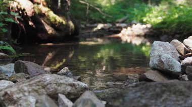 Gölgeli bir ormanda küçük bir derenin sinematik bir çekimi.