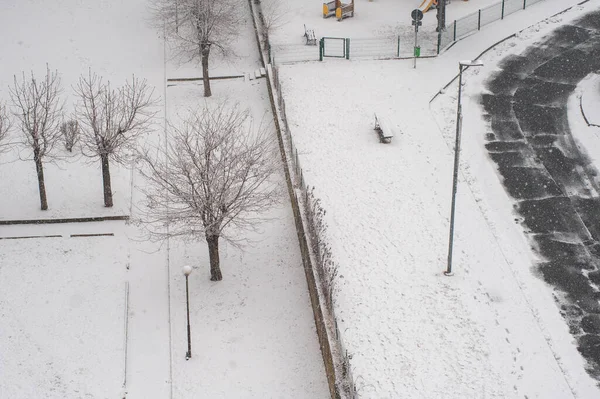 Сніг Вкривав Дерева Зимовий Сніговий Сезон Деревах Міському Парку — стокове фото