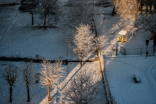 Зима Сніг Дерева Освітлені Заходом Сонця Після Сильних Снігопадів — стокове фото