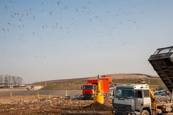 Municipal waste landfill. Workers with trucks and bulldozers at work in waste storage landfill.