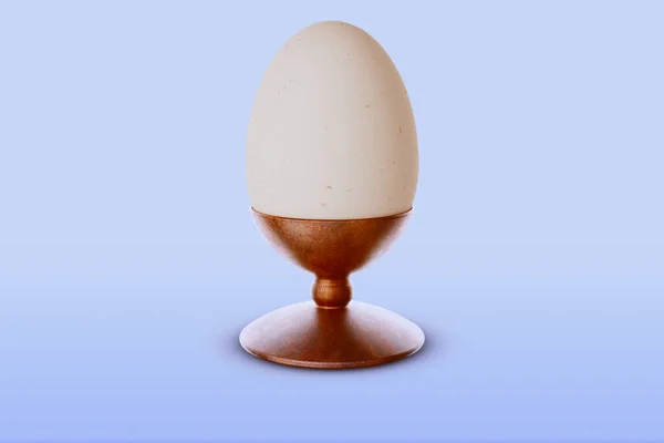 Illustratie Eieren Eieren Gezond Natuurlijk Voedsel Voedsel Voorjaarsbeeld Geschikt Voor — Stockfoto