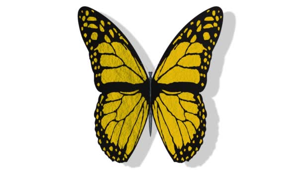 Відео Ілюстрація Барвисті Метелики Літають Відкритими Крилами Ключовому Фоні Chroma — стокове відео